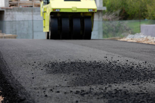 Best Custom Driveway Pavers  in Two Rivers, WI